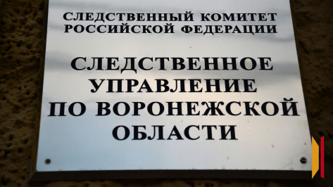 В Воронежской области возбудили уголовное дело после того, как 13‑летнему мальчику разбили голову из‑за громкой музыки