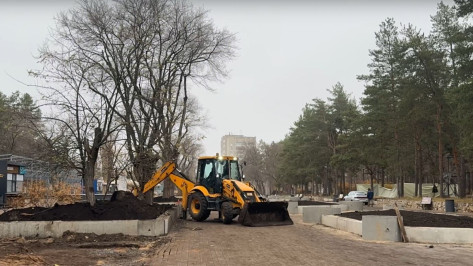 Реконструкцию парка «Танаис» в Воронеже могут завершить в 2027 году