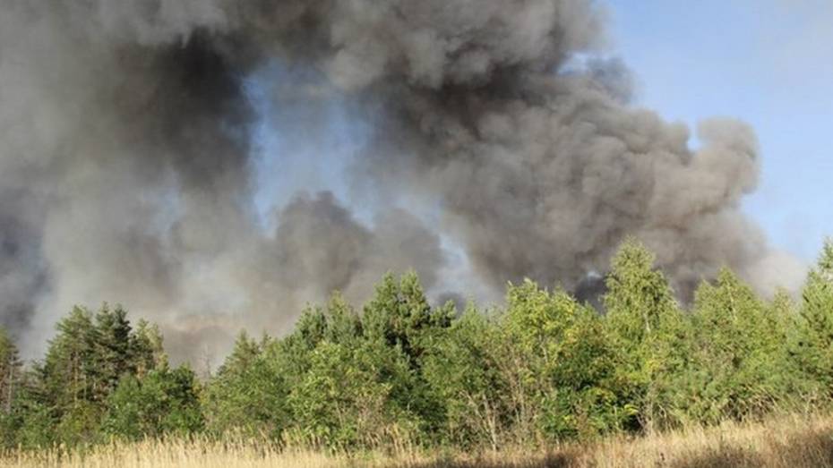 За выходные в Борисоглебске локализовали 6 возгораний