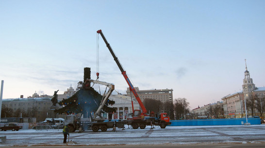 Мэрия Воронежа отказала фирме в установке главной елки за 1 копейку