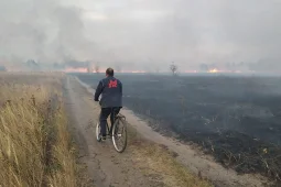 За три дня в Воронежской области установился III класс пожарной опасности