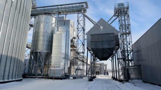 Воронежская область предложит свой план импортозамещения в феврале