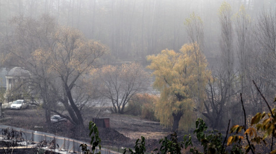 Воронежцев предупредили о тумане 2 ноября