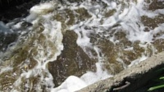 Воронежские активисты-экологи добились штрафа для Левобережных очистных сооружений 