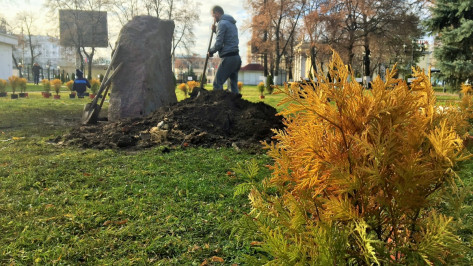 В Воронеже появится лабиринт с камнем желаний