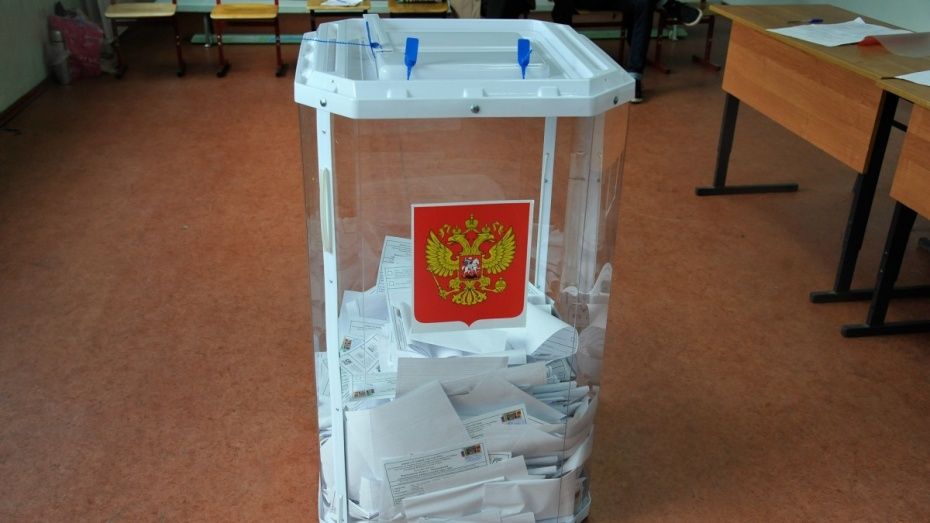 Парламентарии выступили за уголовные сроки организаторам «каруселей» на выборах 
