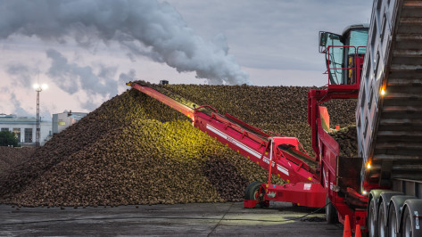 На агропредприятиях «Продимекс» в Воронежской области завершается уборочная кампания