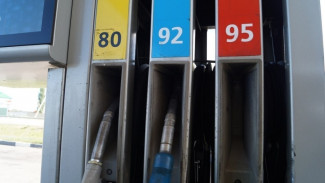 Воронежское облправительство проконтролирует цены на бензин