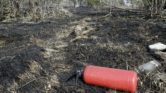В Воронежской области инспектор ради «палки» обвинил мужчину в поджоге 