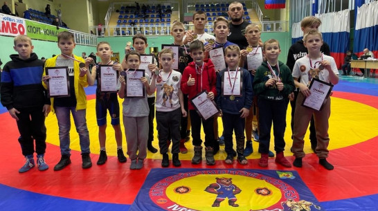 Лискинцы взяли 7 золотых медалей на межрегиональном турнире по вольной борьбе