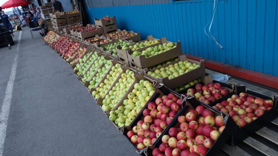 Воронежская область обеспечит себя местными плодами и овощами на 100%