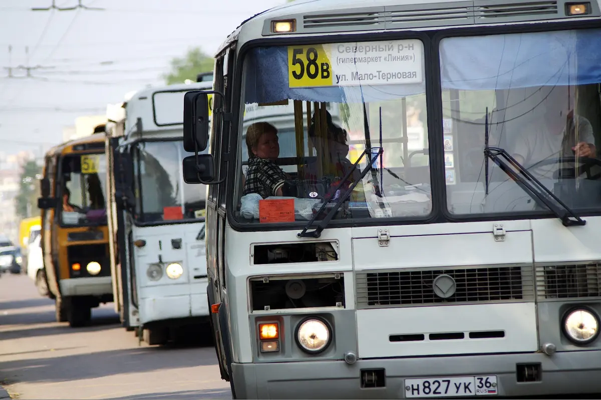 Проблемный пассажир. Кто следит за порядком в воронежских автобусах