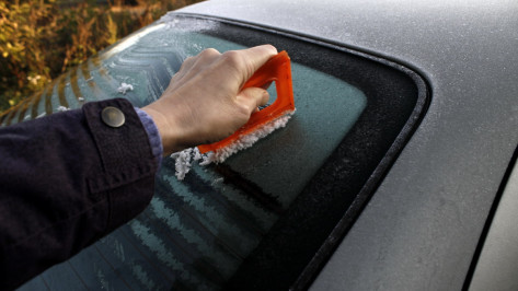 Воронежские спасатели объявили штормовое предупреждение из-за заморозков 2 октября