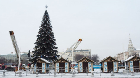 В Воронеже начали искать подрядчика на установку главной городской новогодней ели