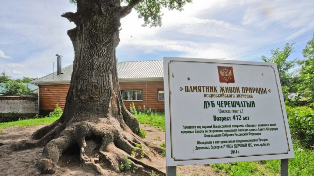 Памятник связанный с природой