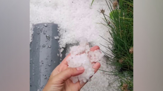 Выпавший в июне в Воронежской области град сняли на видео