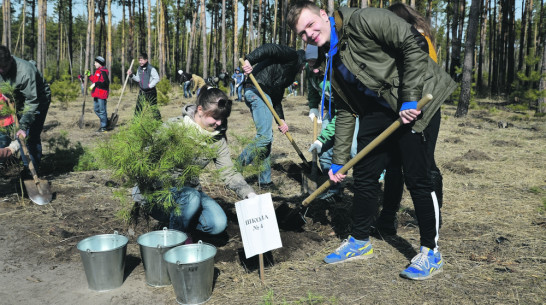 В Россоши появился «Лес Победы»