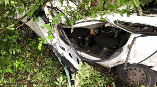 «Ладу Приору» размазало о дерево под Воронежем: 2 человека погибли