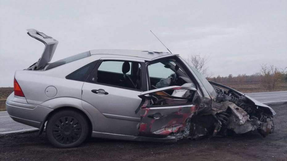 В Воронежской области пьяная женщина на Ford Focus врезалась в остановку