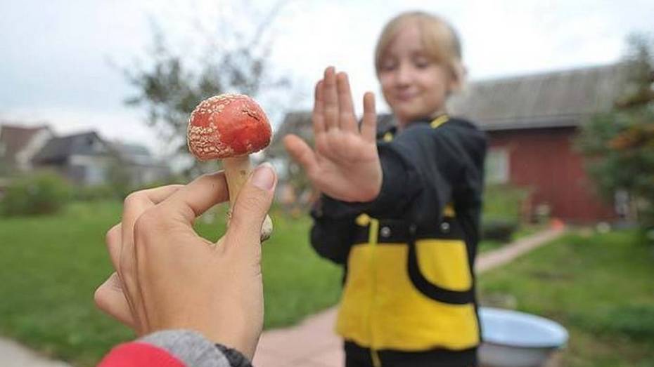 В Воронежской области бабушка и два внука отравились грибами