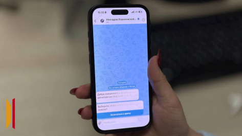 Воронежцы могут записаться к врачу в мессенджере MAX