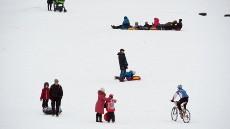 Воронежец пострадал при катании на тюбинге с сыном 