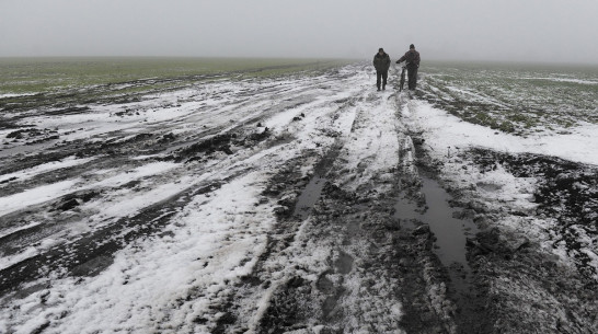 Заброшенные хутора: как пустеют воронежские деревни. Хлопотное