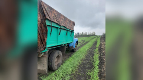 Сдававший назад зерновоз задавил жителя Воронежской области