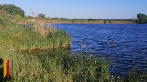 В селе Малая Грибановка благоустроят берег пруда