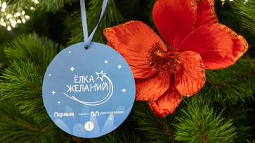 Воронежские министры исполнили детские мечты в рамках акции «Елка желаний»