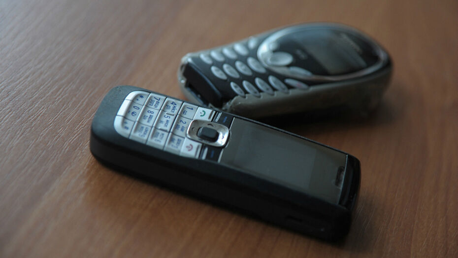 В колонию Воронежа попытались передать 9 мобильных телефонов и 4 зарядных устройства
