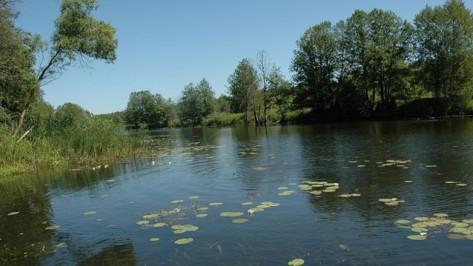 Воронежцев пригласили на экологический сплав на байдарках по Битюгу