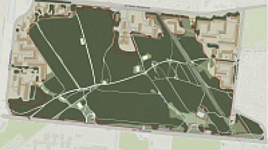 В воронежском лесопарке «Оптимист» проложат велодорожки и оборудуют лыжероллерную трассу 