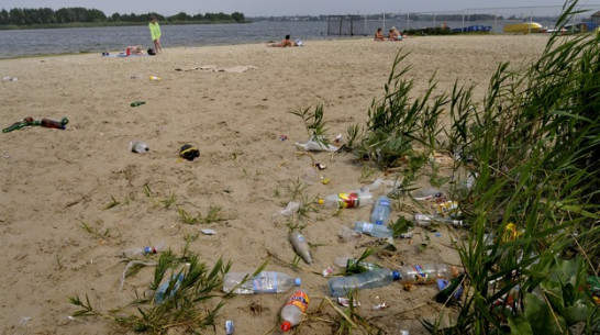 Воронежцы присоединятся к всероссийскому субботнику