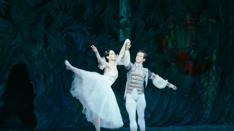 В Воронеже перекупщики взвинтили цены на билеты на новогодний балет «Щелкунчик»