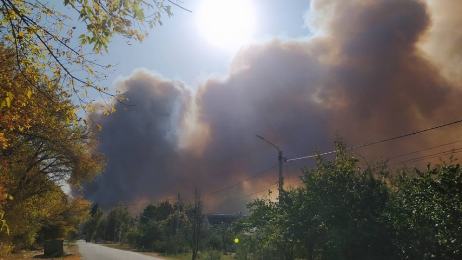 Лесники назвали пожар в Борисоглебске Воронежской области самым масштабным за 10 лет