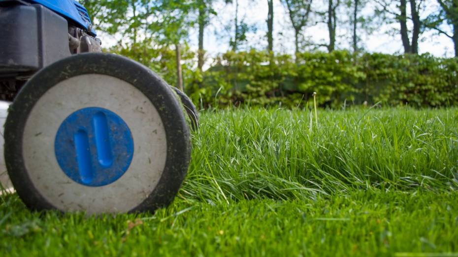 В Воронежской области отдыхавший в траве разнорабочий погиб из-за косилки