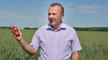 Руководитель нижнедевицкого сельхозпредприятия получил «Благодарность от земли Воронежской»