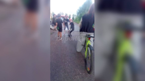 В воронежском Шилово женщина ударила и оттаскала за волосы девочку на детской площадке