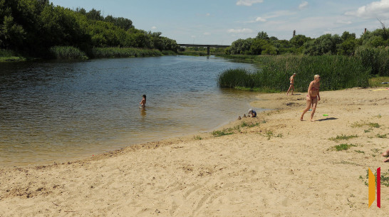 Семь человек утонуло на водоемах в Воронежской области
