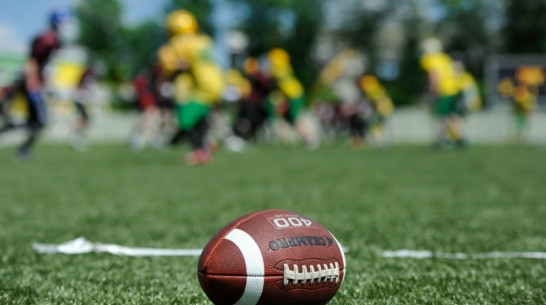 Воронежские «Могучие утки» победили сборную Липецкой области