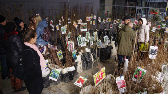 Воронежцев пригласили на выставку-ярмарку саженцев
