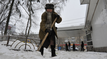 Воронежские чиновники будут предоставлять фотоотчеты об уборке дворов