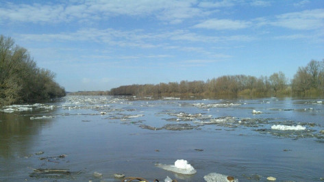 В Острогожском районе вода в Дону поднялась почти на три метра