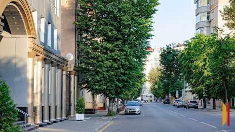 Итоги недели. Что важного произошло в Воронежской области с 9 по 15 июня