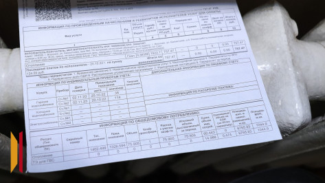 С 2026 года для воронежцев изменятся сроки оплаты коммунальных услуг