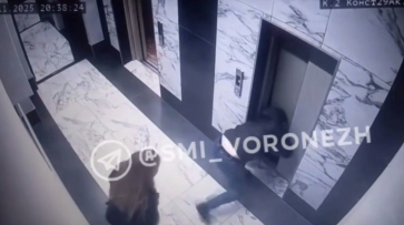 В Воронеже ребенок упал в шахту лифта: видео