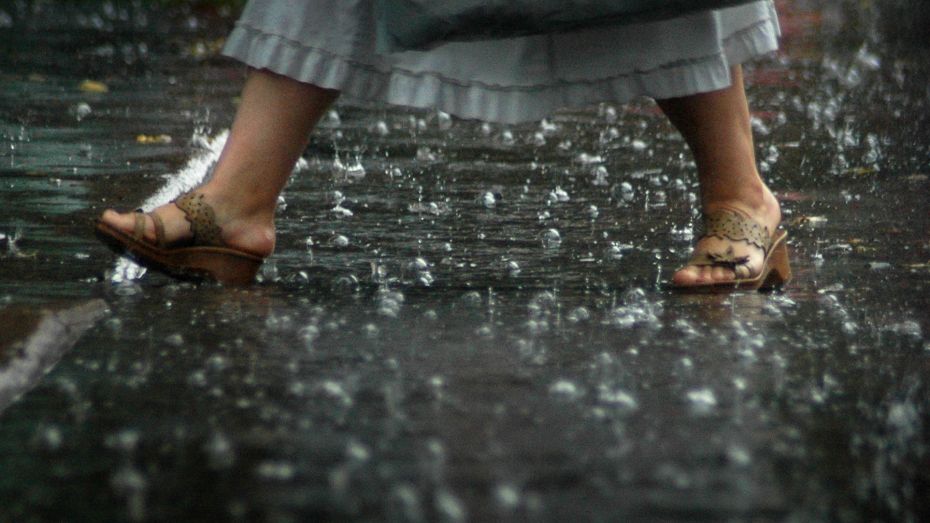 Бесплатные экскурсии по столлевским местам в Воронеже перенесли из-за дождя