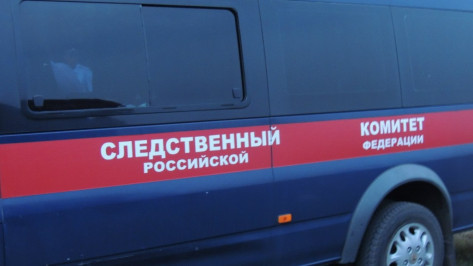 В Борисоглебске на свалке обнаружили труп