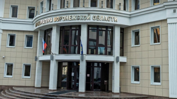 В Воронеже прокуратура проводит проверку после падения дерева на женщину